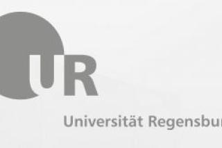 Felhívás "Magyarországi, jugoszláviai és csehszlovákai emigráció, 1945-1989" c. konferenciára, Regensburg