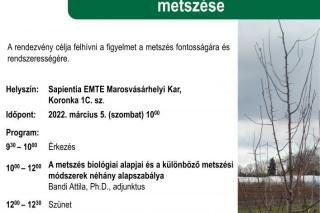 Gyümölcsfák télvégi fenntartó metszése bemutató